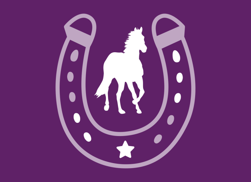 Logo of Saddle Up Therapy
